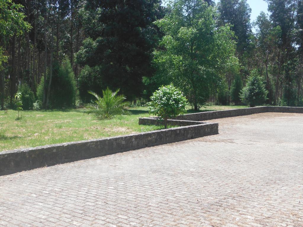 Hotel Alameda Albergaria-a-Velha Zewnętrze zdjęcie