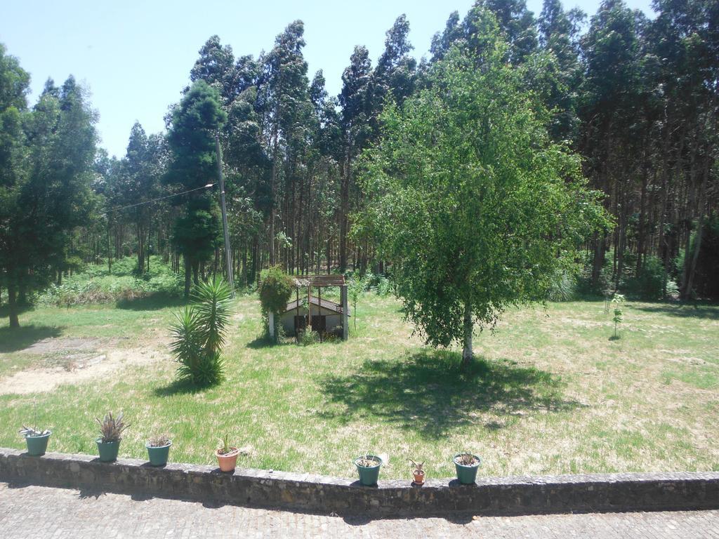 Hotel Alameda Albergaria-a-Velha Zewnętrze zdjęcie